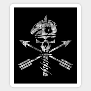 Distressed Military Beret Skull Sticker